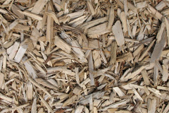 biomass boilers Trevarrick