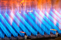 Trevarrick gas fired boilers